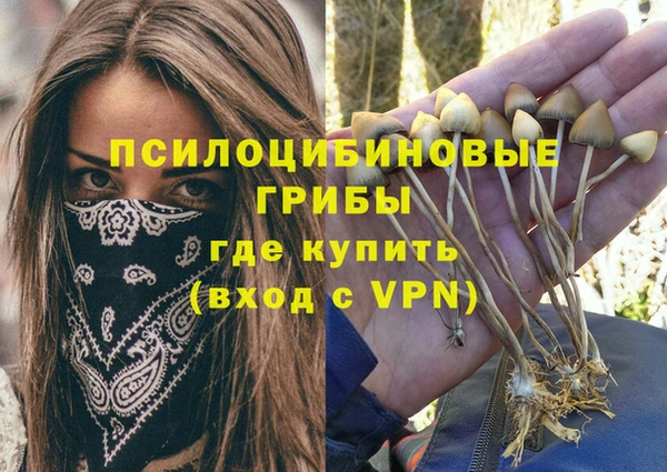 тгк Вязники